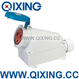 Qixing European Standard Female Socket (QX1137)
